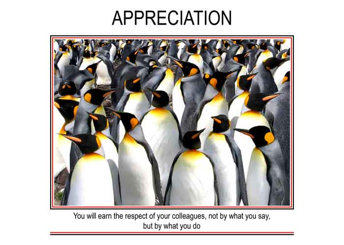 APPRECIATION